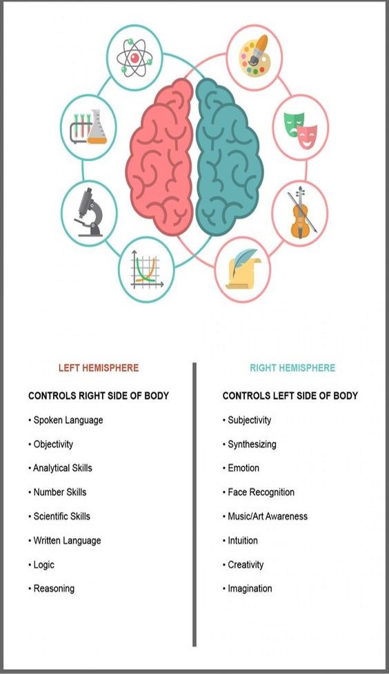 Behavioural Epigenetics